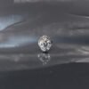 Designer Pave Cobra Head Moissanite Earrings - 925 Sterling Silver Limited Edition